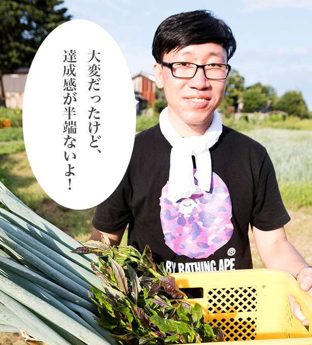 新鮮な野菜をたくさん収穫